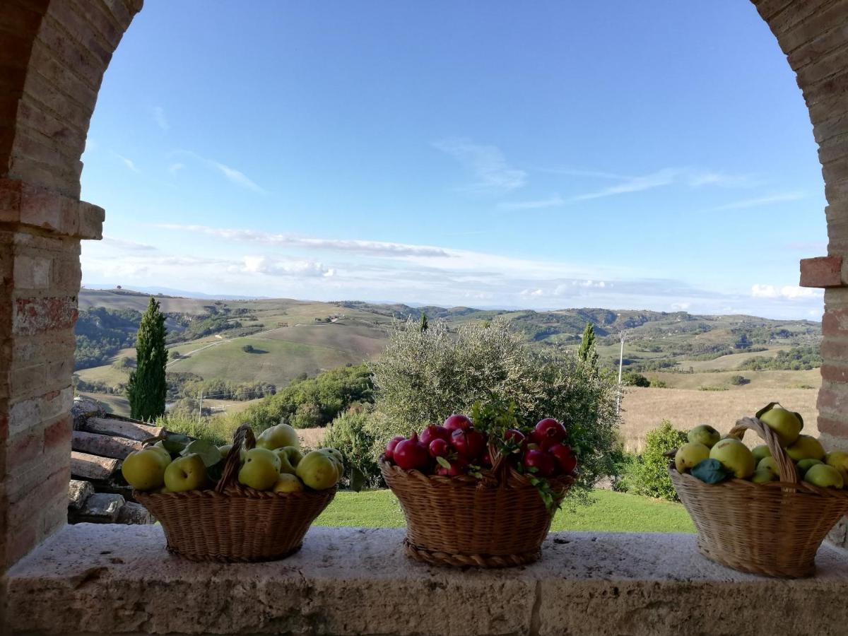 Agriturismo Monsole - Монтальчино Екстер'єр фото
